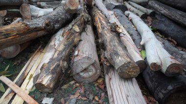 A pile of wood in sawmill. storage of timber in sawmill. Wood resources concept.