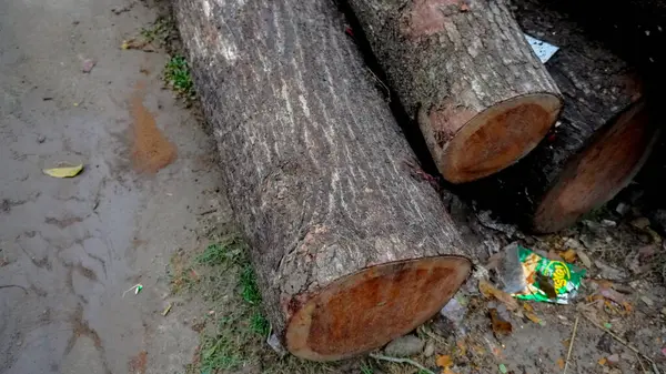 A pile of wood in sawmill. storage of timber in sawmill. Wood resources concept.