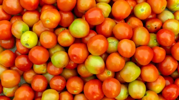 Tomato orange tomatoes vegetable fresh. Texture backgound of fresh tomatoes.
