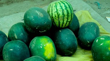Green watermelon in the market.