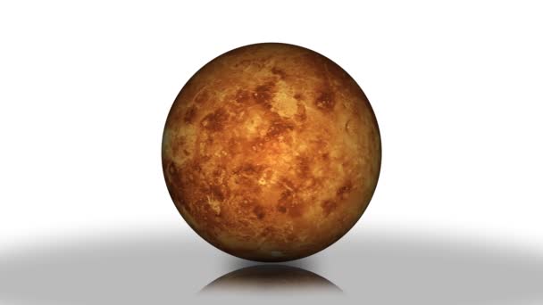 Wirująca Planeta Wenus Izoluje Się Białym Planeta Wenus Obracająca Planeta — Wideo stockowe