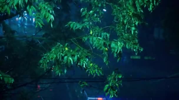Way Road Reflekterande Ljus Regnig Dag Fordon Vackert Regn Regn — Stockvideo