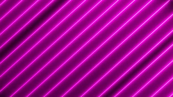 Neon Fények Izzó Futurisztikus Trendi Színes Varrat Nélküli Neon Fényvonal — Stock videók