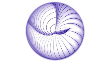 Beyaz üzerinde hareket eden sanatsal geometrik çizgi küresi. Gerçeküstü 3d top ya da küreye ait soyut sanat videosu eğri dalgalı yuvarlak izole edilmiş beyaz arka plan 45 'liği üzerinde.