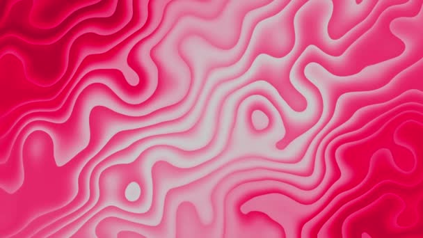 Colorful Wave Liquid Animation Background Gray Red Color Liquid Motion — Stockvideo