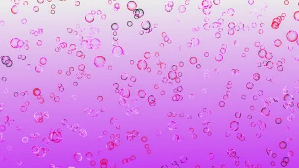 お祝いや創造的なデザインに適した浮遊赤い泡を持つ抽象的な紫色の勾配アニメーションの背景 — ストック動画