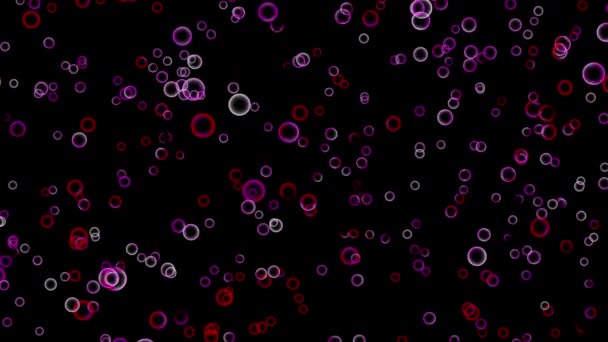 Fundo Abstrato Com Círculos Coloridos Anéis Animados Fundo Preto — Vídeo de Stock