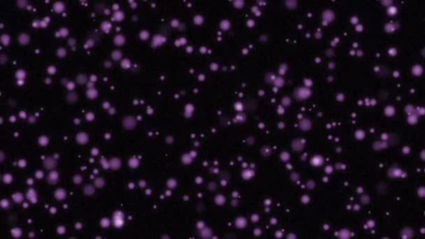 黒い背景にカラフルな抽象化された星の光沢のある粒子 — ストック動画