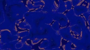 Soyut mavi arkaplan altın mermer desenli animasyon, duvar kağıtları veya yaratıcı projeler için lüks tasarım deseni.