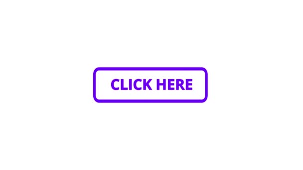 Pink Cor Clique Aqui Clique Animação Botão Sobre Fundo Branco — Vídeo de Stock