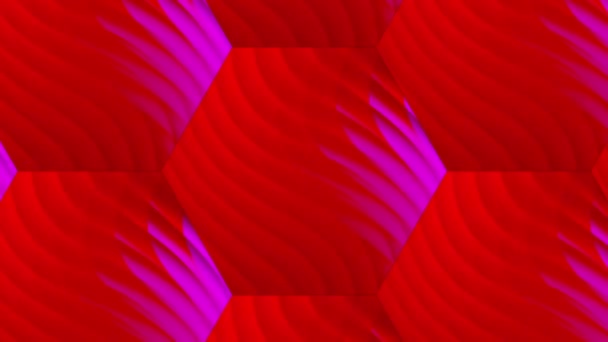 Abstract Color Wavy Background Animation — Stock Video