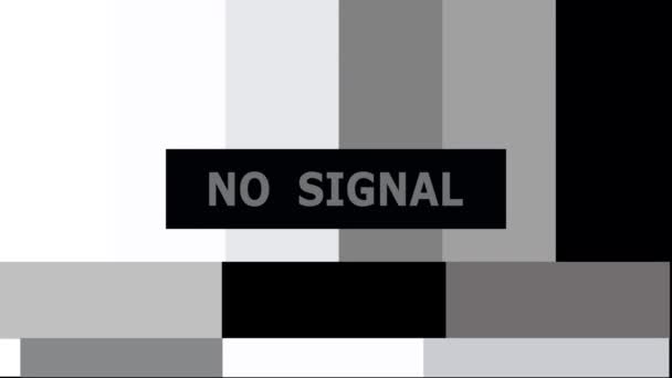 Televíziós Képernyő Nincs Signal Szöveggel Háttérrel — Stock videók