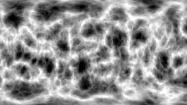 Абстрактная Монохромная Текстура Мрамора Анимированные Природные Узоры Дизайна — стоковое видео