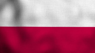 Gerçekçi ulusal bayrağın rüzgarda dalgalanması. Polonya bayrağı.