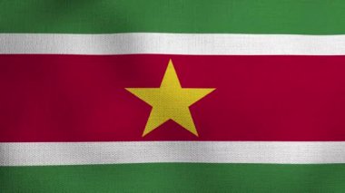 Gerçekçi ulusal bayrağın rüzgarda dalgalanması. Surinam bayrağı.