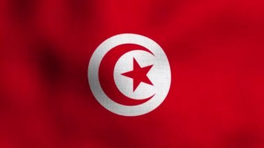 Gerçekçi ulusal bayrağın rüzgarda dalgalanması. Tunus bayrağı.