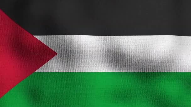 Bandera Nacional Realista Animada Ondeando Viento Bandera Palestine — Vídeo de stock