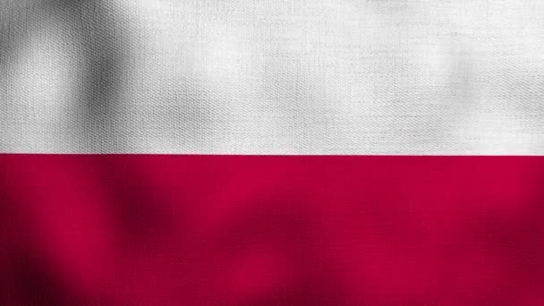 Bandeira Nacional Realista Animada Acenando Vento Bandeira Poland — Vídeo de Stock