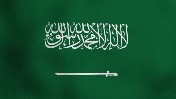 風の中で現実的な国旗をアニメ化しました サウジアラビアの国旗 — ストック動画