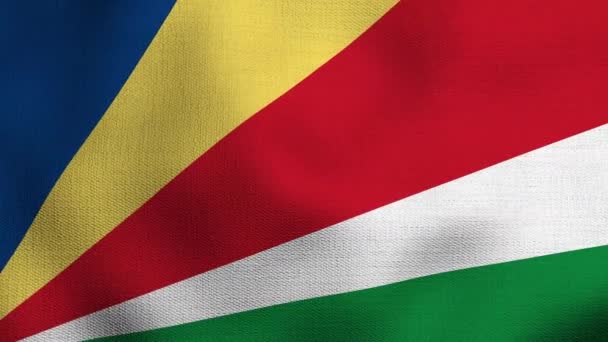Bandeira Nacional Realista Animada Acenando Vento Bandeira Seychelles — Vídeo de Stock