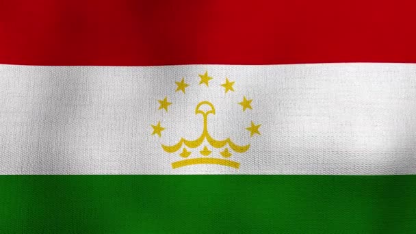 Bandera Nacional Realista Animada Ondeando Viento Bandera Tayikistán — Vídeo de stock