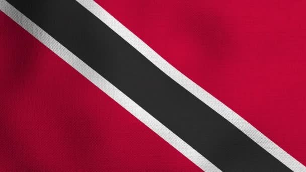 Animated Realistic National Flag Realistic Waving Wind Flag Trinidad Tobago — Stock Video