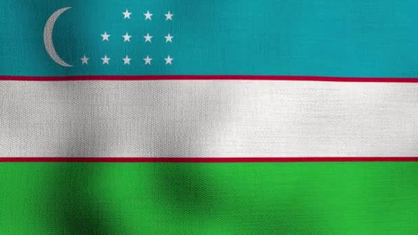 Bandera Nacional Realista Animada Ondeando Viento Bandera Uzbekistan — Vídeo de stock
