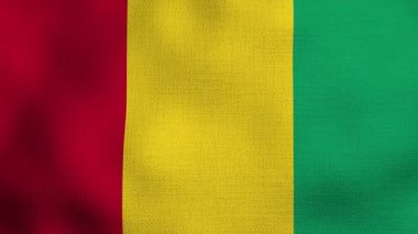 Gerçekçi ulusal bayrağın rüzgarda dalgalanması. Gine bayrağı.