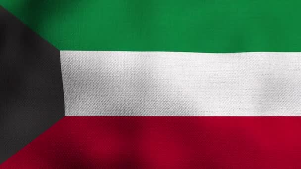 Animált Reális Nemzeti Zászló Reális Integetett Szélben Zászló Kuvait — Stock videók