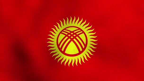 Bandera Nacional Realista Animada Ondeando Viento Bandera Kirguistán — Vídeo de stock