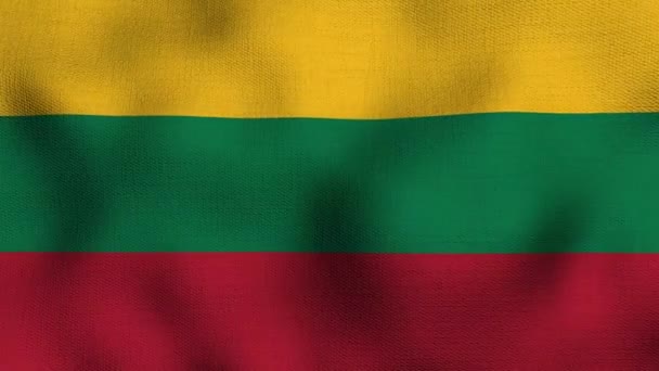 Animerad Realistisk Nationell Flagga Realistisk Vinka Vinden Flaggan Lithuania — Stockvideo