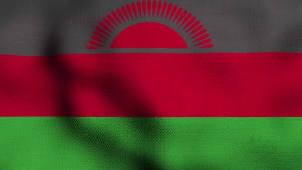 Анимационный Реалистичный Национальный Флаг Размахивающий Ветру Флаг Малави — стоковое видео