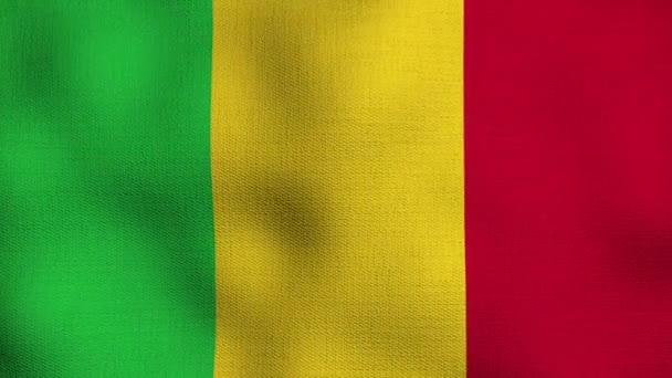 Bandiera Nazionale Realistica Animata Sventola Realistica Nel Vento Bandiera Mali — Video Stock