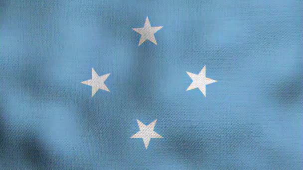 Bandera Nacional Realista Animada Ondeando Viento Micronesia Bandera — Vídeo de stock