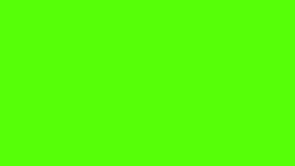 Pila Libri Colorati Animati Sfondo Verde — Video Stock