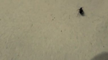 siyah ve beyaz arkaplan