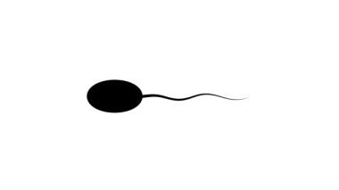Animasyon sperm hücresi beyaz arka planda dönüp duruyor. Biyoloji dersleri, üreme sağlığı ve bilimsel içerik için kusursuz hareket grafiği.