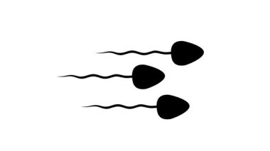 Kusursuz sperm hücresi animasyon döngüsü. Anatomi eğitimi, doğurganlık konuları ve biyoloji video içeriği için beyaz arkaplan tasarımı.