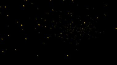 Siyah arkaplanda zarif bir şekilde yükselen parlak altın parçacıklar. Koyu siyah bir arkaplanda yükselen ve yüzen altın parçacıklar..