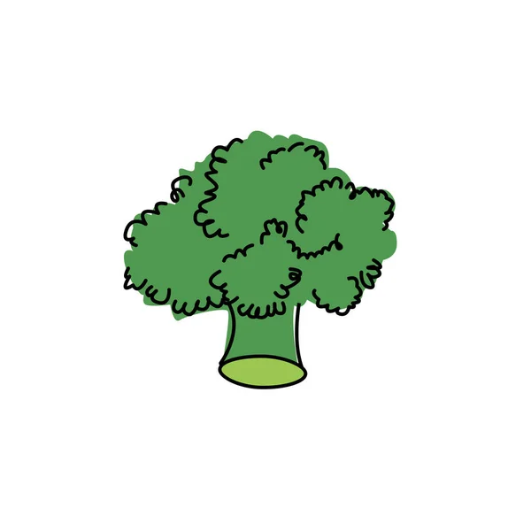Broccoli Cartoon Doodle Style Icon Food Vegetable Flat Icon Concept — Stock Vector