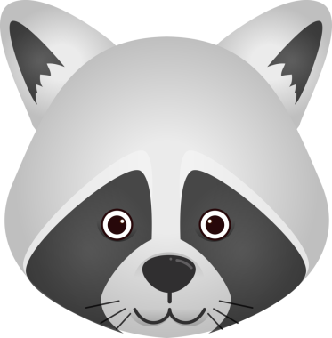  Gri arkaplanda bir rakun yüzü resmi