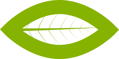 Doğal ürün logo tasarım şablonu. Yeşil yaprakları ile şube