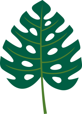 Tropikal yeşil yapraklar izole edilmiş.