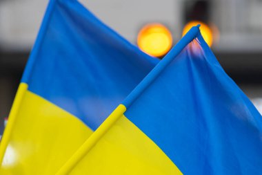 Sokaktaki bir protestoda iki Ukrayna bayrağı. Orta çekim