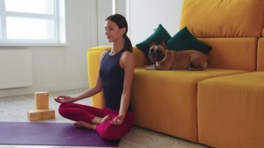 Zayıf bir kadın sarı kanepenin yanında yoga minderinde tatlı köpeği üzerinde yatarken meditasyon yapıyor. Orta çekim
