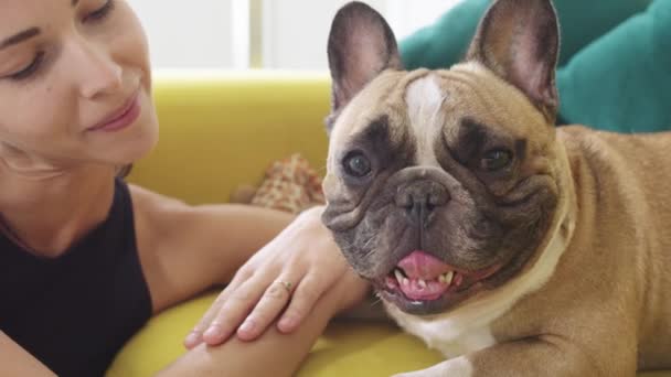 Wanita Tersenyum Duduk Sofa Kuning Dengan Anjing Bulldog Peliharaannya Yang — Stok Video