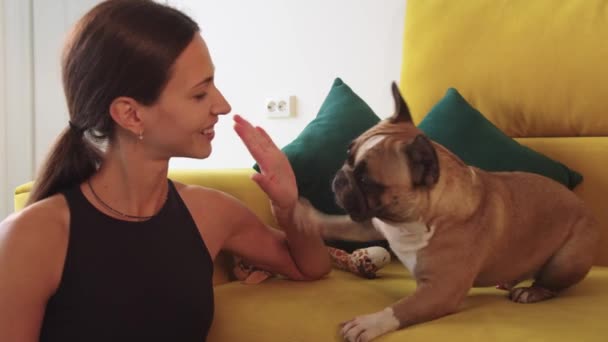 Wanita Tersenyum Duduk Sofa Kuning Dan Bermain Dengan Anjing Bulldog — Stok Video
