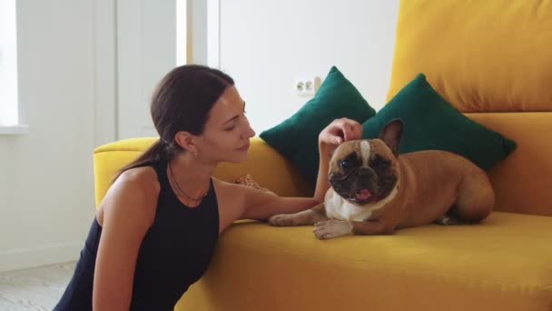 Gülümseyen Kadın Sarı Kanepede Oturuyor Sevimli Köpeğiyle Oynuyor Orta Çekim — Stok video