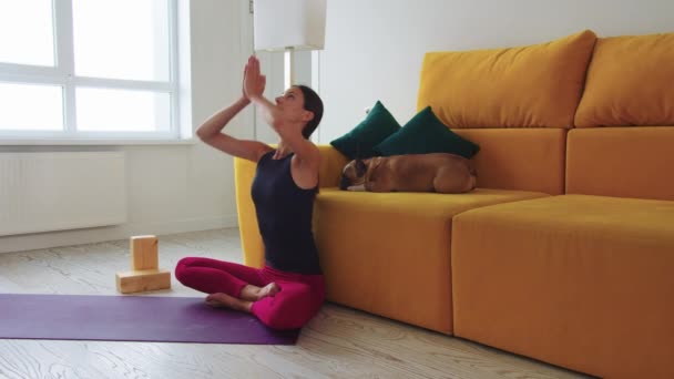 Smal Kvinna Mediterar Yogamatta Med Gul Soffa Med Hunden Liggande — Stockvideo