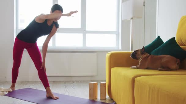 Mulher Magro Fazendo Exercícios Por Sofá Amarelo Com Seu Cão — Vídeo de Stock